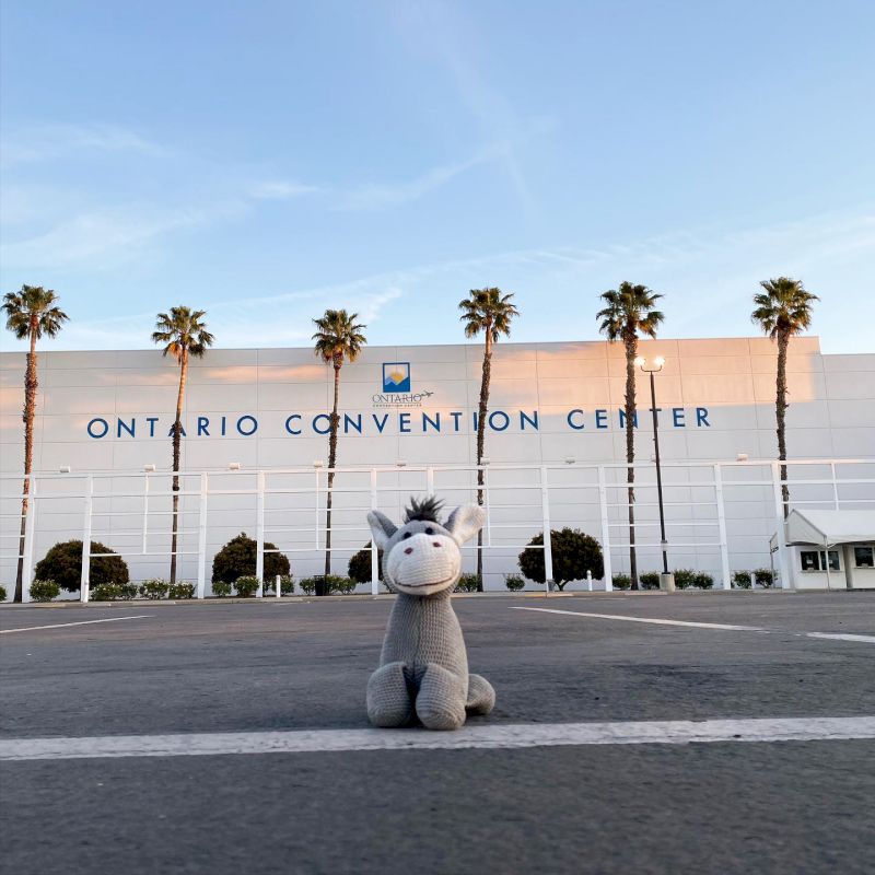 A stuffed animal sits in an empty parking lot in front of the Ontario Convention Center with palm trees and a clear sky in the background.