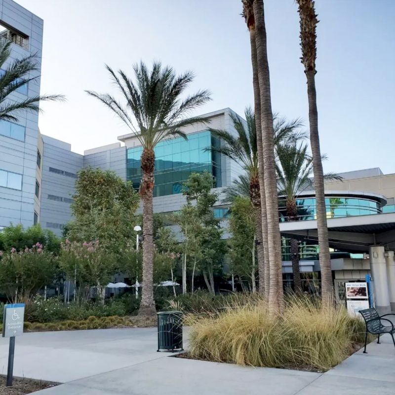 A modern building with palm trees in front, landscaped grounds, benches, and a walkway leading to the entrance, under a clear sky.