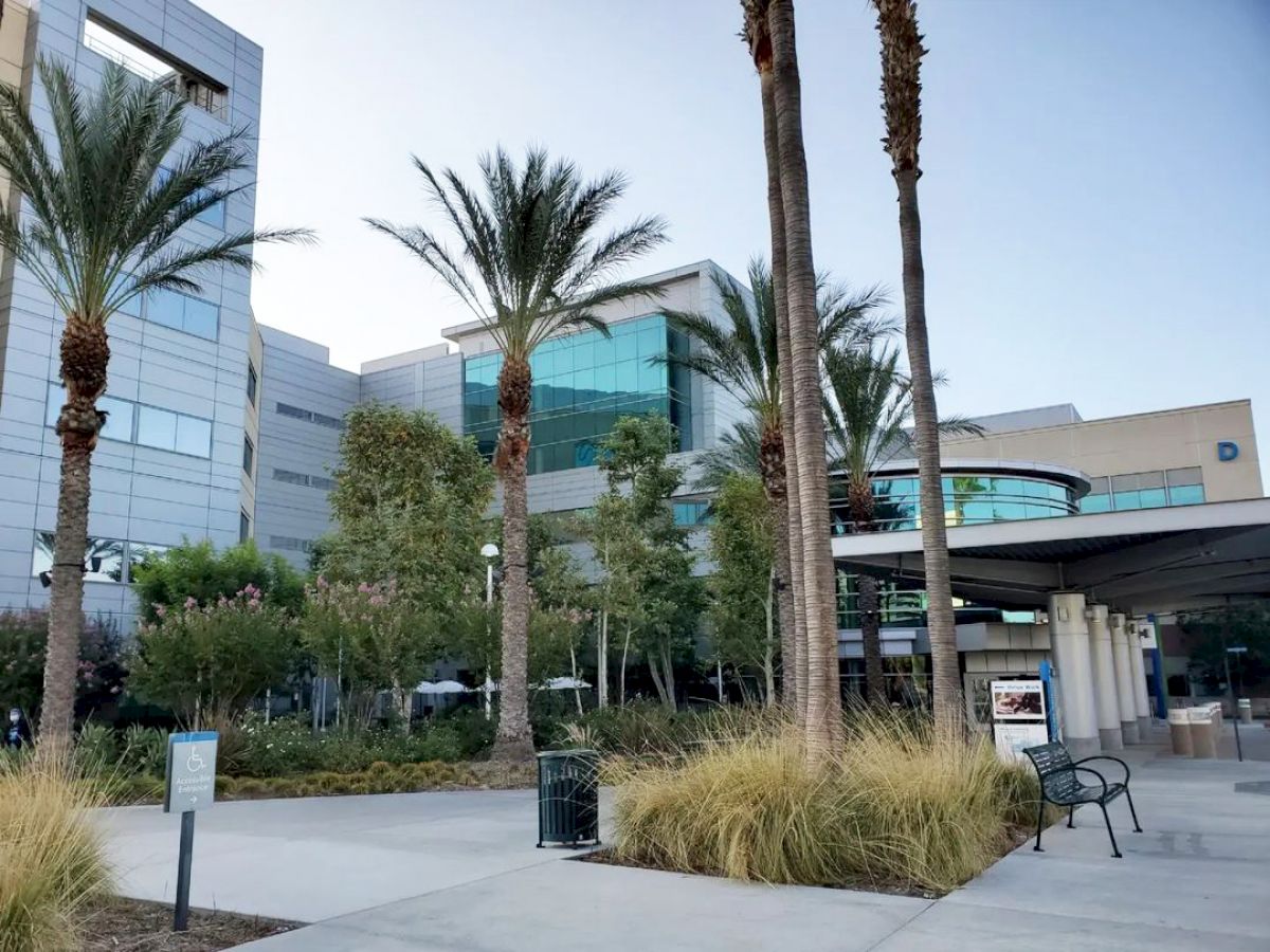 The image shows a modern building with large glass windows, surrounded by tall palm trees and landscaped greenery, suggesting an office or medical complex.