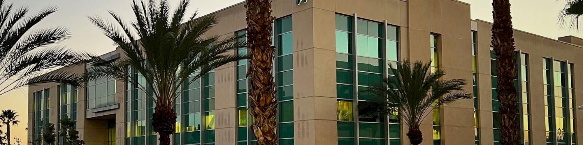 The image shows a modern building with large glass windows surrounded by tall palm trees at dusk. The entrance has a canopy and illuminated pathways.