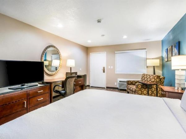 A hotel room with a bed, TV, desk, chair with a lamp, and a window. Calm ambiance with modern decor and light blue accent wall.