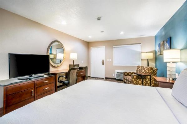 A well-lit hotel room with a bed, TV, desk, chair, mirror, and lamps. The decor includes a blue accent wall and a patterned armchair.