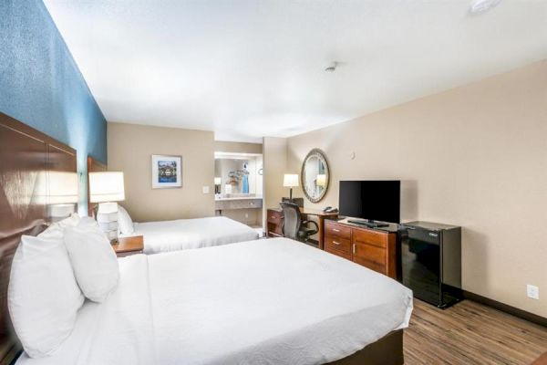 This image shows a hotel room with two beds, a TV on a wooden dresser, a mini-fridge, a desk with a chair, lamps, and a mirror on the wall.