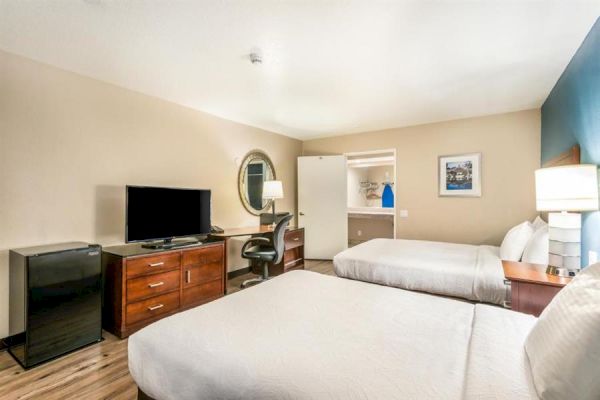 This image shows a hotel room with two beds, a TV, a desk with a chair, a mini-fridge, and a mirror on the wall.