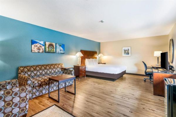 A spacious hotel room features a bed, patterned sofa, desk, chair, and lamps on wooden flooring, with wall art and a TV.