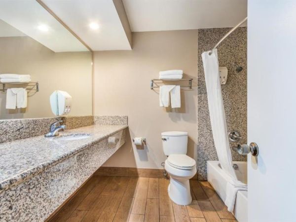 A bathroom with a sink, large mirror, toilet, and shower area with curtain. Towels are neatly arranged on shelves above the sink and toilet.