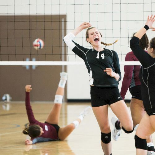 Volleyball players in action on a court; one dives, others celebrate a point with raised arms and expressions of joy.