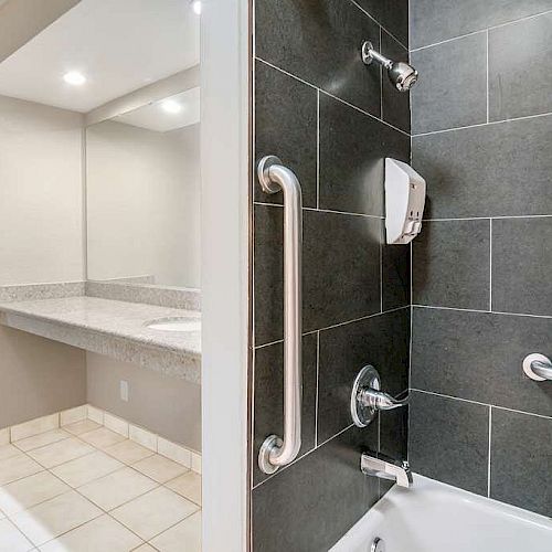 The image shows a bathroom with a dark-tiled shower area equipped with a grab bar and soap dispenser, and a countertop with a sink and a large mirror.