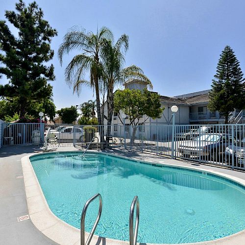 The image shows an outdoor oval-shaped swimming pool surrounded by a fence, with trees and a building in the background.