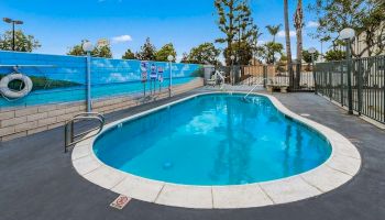 This image shows a small, clean outdoor swimming pool surrounded by a fence, with a mural on the wall and trees in the background under a bright sky.